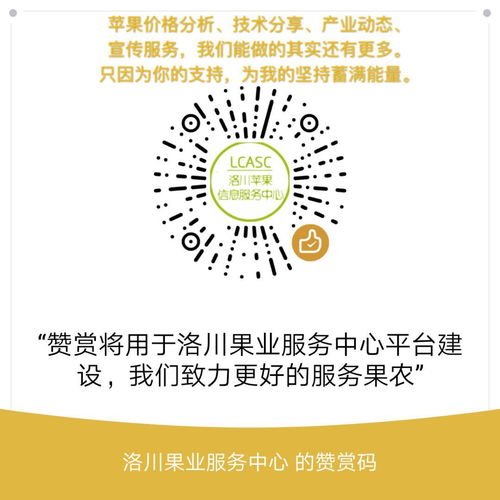 蘋果樹冬剪落頭竅門多 數字化思維助力精準修剪